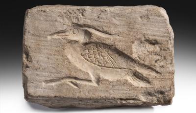 Placa amb la representació d'un ocell. Es podriatractar d'una cria de garsa (l'ocell sgrat Bennu). Pedra calcària. Període Ptolomaic (305-30aC). Museu Egipci de Barcelona, E-1237