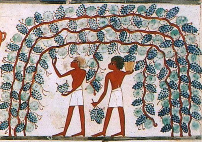 El vi a l'antic Egipte