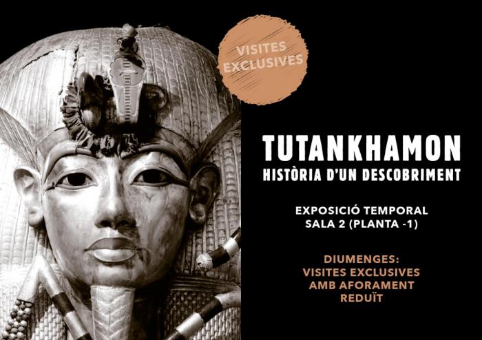 Visites diumenges Tutankhamon